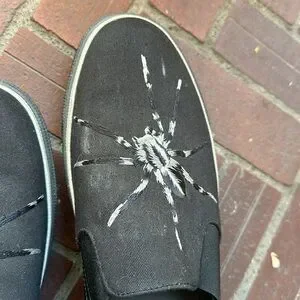 Lanvin | Shoes | Lanvin Canvas Shoes Spider Design Size 9  display picture 1